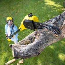 Lawn Watering Services in Mill Creek, WA